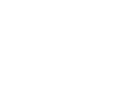 Fundacja BOŚ